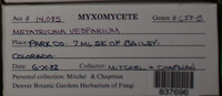 Image Associated With the Occurence